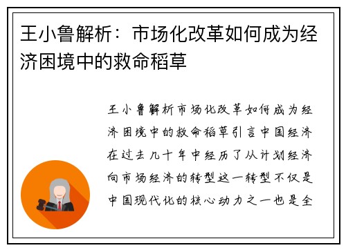 王小鲁解析：市场化改革如何成为经济困境中的救命稻草